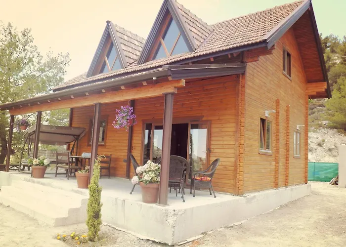 Timber Log House Agros