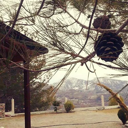 Timber Log House Chalet *